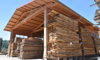 Auf dem Firmengelände in Wildpoldsried ist viel Platz vorhanden, um das Allgäuer Rohholz zu lagern (Bild: Allgäuer Wert- und Edelholz).