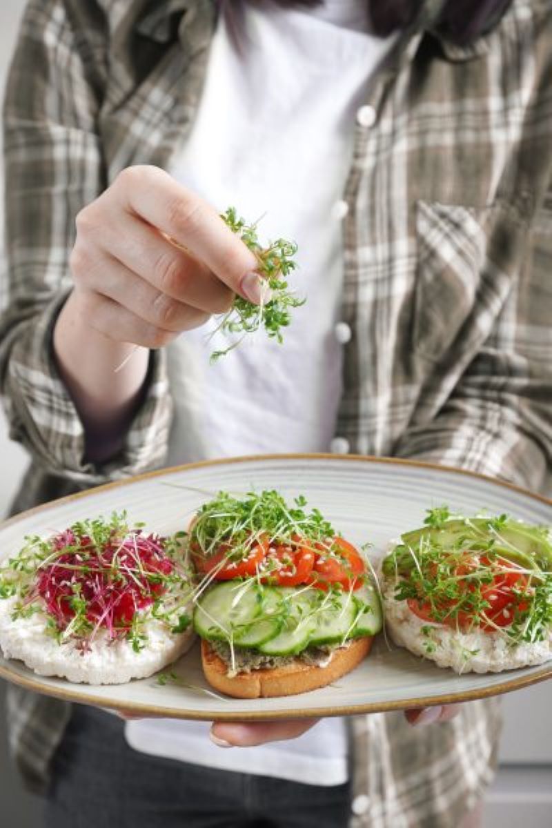 Microgreens geben Salaten und belegten Broten den gesunden Kick (Bild: Hailo).