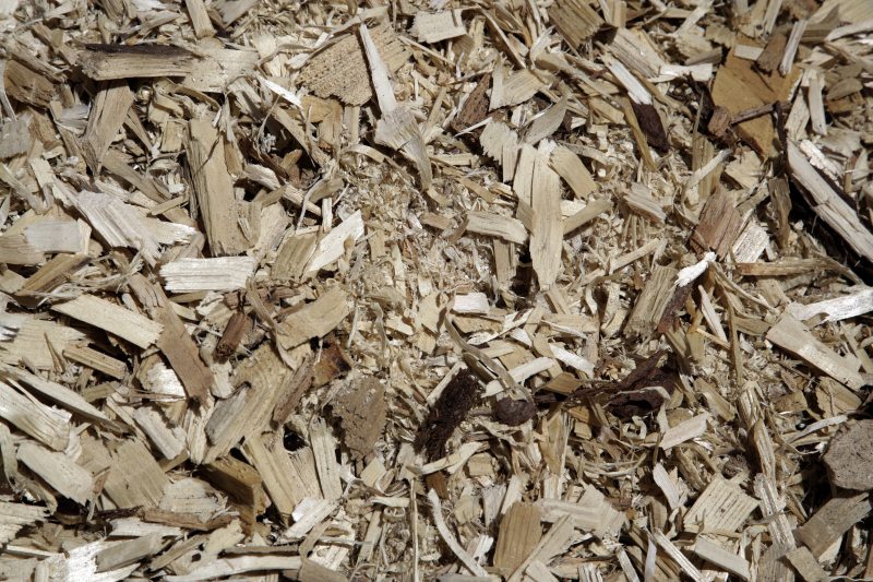Bereits heute werden die Spanplatten von Pfleiderer mit einem durchschnittlichen Recyclingholzanteil von ca. 60 % hergestellt (Bild: Pfleiderer).