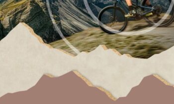 Die beschichteten Spanplatten unterstützen beim modernen Store-Design (Bild: Sonae Arauco).