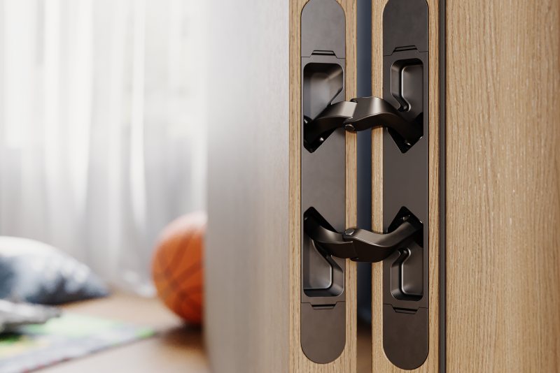 Das neuartige Türband (Bild: KDM).