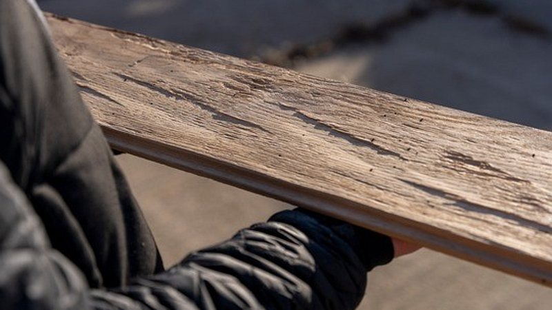 Beispiel für ein Wandpaneel aus Käfereiche, natur gehackt, mit kleinen Bohrspuren für rustikalen Charme (Bild: Lacker).